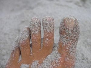 Zehen - Quelle: PIEDI, CC BY-SA 2.0 (http://www.flickr.com/photos/55638925@N00/254795933/)