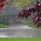 Schlechtes Wetter - Quelle: Chris Metcalf, CC BY 2.0 (http://www.flickr.com/photos/laffy4k/155406169/)
