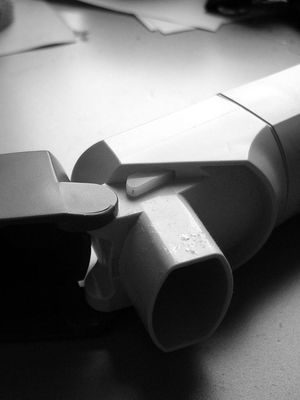 Asthma - Quelle: Neil T., CC BY-SA 2.0 (http://www.flickr.com/photos/neilt/)