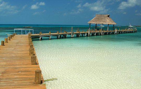 tropic island - Quelle: Frank Kovalchek, CC BY 2.0 (http://www.flickr.com/photos/72213316@N00/)