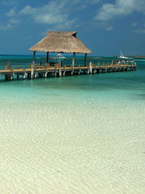 tropic island - Quelle: Frank Kovalchek, CC BY 2.0 (http://www.flickr.com/photos/72213316@N00/)